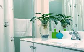 top 5 shower curtains for a meditative