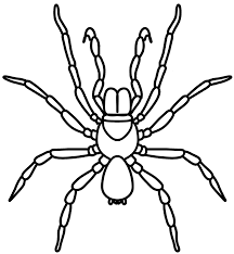 Supercoloring.com is a super fun for all ages: Http Www Inallyoudo Net Wp Content Uploads 2015 10 Spiders Combo Coloring Pages Final Pdf
