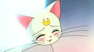 Sailor Moon Artemis Tumblr Giphy is how you search. sailor moon artemis tumblr
