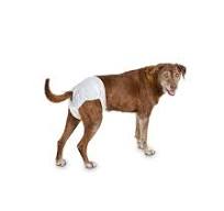OEM ODM Custom Disposable Dog Diaper Wholesale Bamboo Pet ...