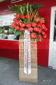 We did not find results for: Standing Arrangement Of Orange Anthuriums Sympathy Funeral Flowers Flower Patch Online Flower Delivery Phillippines