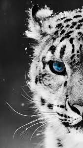 Iphone Wallpaper Hd 640 1136 Wallpaper Iphone Hd 48 Wallpapers Adorable Wallpapers Animales Animales Bonitos Animales Hermosos