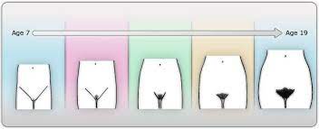Pin On Pubic Hair Hygiene And Style