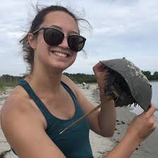 Resilience and Response of Marine Organisms to Environmental Change