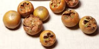 Vitale Landbackerei Backen Mit Mispeln Mispel Rezept Thermomix Torten Rezepte