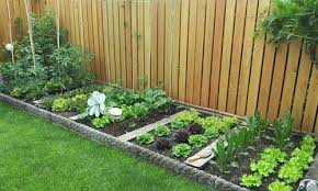 10 Survival Diy Projects You Can Start On Your Property Right Now Ask A Prepper In 2020 Backyard Vegetable Gardens Garden Design Layout Vegetable Garden Design