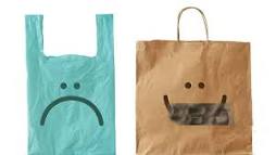 Are Paper Bags More Expensive Than Plastic?
