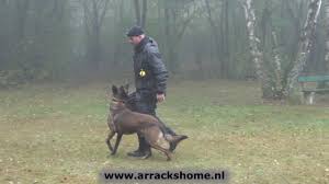 Arrack S Home Laser 2016 10 23 Youtube