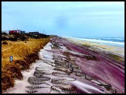 Cherry Grove Fire Island Ny Fire Island Ny Fire Island Fire Island New York