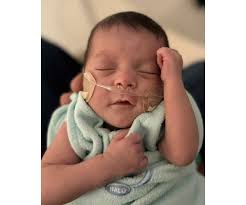 Amelia Lei Freeman Obituary (2024)