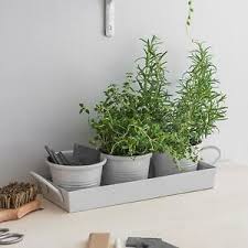 small kitchen metal herb pots set