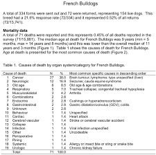 Icb French Bulldog Preservation Project The Institute Of