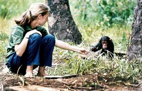 Image result for jane goodall tanzania