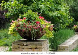 Pretty Flower Pot Garten Bepflanzen Vorgarten Pflanzen
