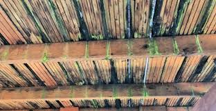 Find a way into the underside of your deck such as an opening you may be able to fit through. When To Replace Your Deck Today S Creative Life