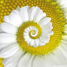 Weather, system info, covid19 tracker, translation, reddit etc. Pin By Sonja Perho On Lively Yellow Optical Illusions Art Elephant Art Psychedelic Art