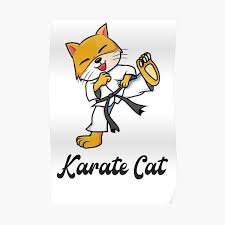 A casual game in which you have to break boards for a cute karate cat. Karate Cat Posters Redbubble