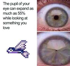 The Best Eye Memes Memedroid