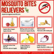 This has worked well for me as someone whose bug bites tend to swell up. — abellon. Remedies For Mosquito Bites
