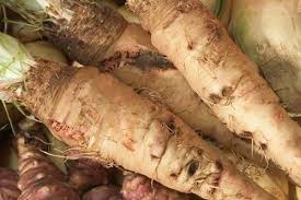 Les Fruits Et Legumes A Consommer En Mars Bio A La Une Fruits Et Legumes Alimentation Fruits Et Legumes Bio