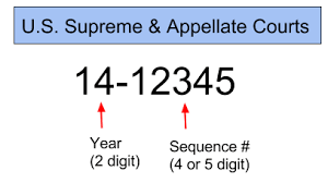 The appointment and confirmation of justices to the supreme court of the united states involves several steps set forth by the united states constitution. Docket Numbers Dockets Court Documents Transcripts And Recordings Libguides At Loyola Law School