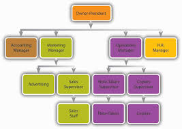The company organizational chart is an excellent way to illustrate the organizational structure of a company. Organizing