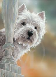 Highland Terrier English Limited Edition Prints White West Dog And Artwest Highland White Terrier Prints Westie Terrier Terrier Dogs White Terrier