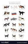 Russian Dog Breeds (Russian Dogs)
