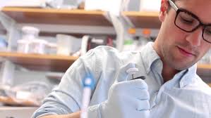 Daryl Bosco, PhD: Assistant Professor of Neurology