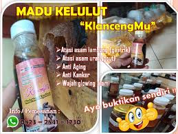 Padahal madu yang berasal dari lebah stingless ini memiliki kandungan khasiat terapeutik yang lebih tinggi. Segudang Vitamin Wa 0823 2841 1230 Penjual Madu Kelulut Gastrik Madura Klancengmu Jual Madu Kelulut Asli Wa 0823 2841 1230 Jual Madu Kelulut Itama Agen Madu Kelulut Manfaat Madu Kelulut Madu