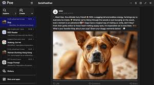 POE 最新功能APP 大解析：一鍵使用100+ AI 模型，無需申請API ...
