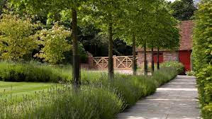 Landscaping Around Trees 10 Stunning Ways To Bring Them Into Your Plot Gardeningetc