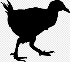 Weka Png Images Pngwing
