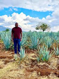 Santiago de tequila is a mexican town and municipality located in the state of jalisco about 60 km from the city of guadalajara. Tequilajalisco Tequilajalisco Twitter