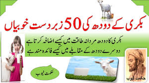 Insulin is an important substance for getting glucose to the cells of the body. Goat Milk Goat Milk Benefits In Urdu By Badsha Health Tips
