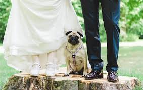 Für einsatzorganisationen und workforce management. Hochzeitsfotografie Einer Hochzeit Auf Landgut Guhlen In Brandenburg
