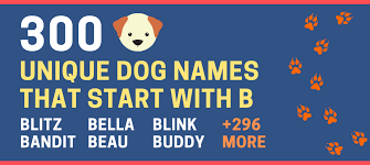 Unusual names for your baby boy 300 Unique Dog Names That Start With B For Male And Female Green Garage