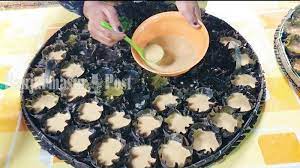 Kue khas banjarmasin yang terkenal ini memiliki tampilan bulat dan bertubuh tipis. Kuliner Kalsel Apam Barabai Gunakan Daun Dadap Hasilkan Cita Rasa Khas Banjarmasin Post