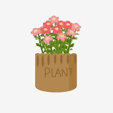 163 transparent png illustrations and cipart matching fiori. Pianta In Vaso Fiori Fiori Petalo Dipinte Vaso Vaso File Png E Psd Per Download Gratuito