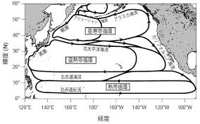 アリューシャン海流 aleutian current アラスカン・ストリーム alaskan stream アリューシャン列島沿いにその南側を西に流れる海流。アラスカン・ストリームとも呼ばれる。アラスカ湾北岸沿いに西流するアラスカ海流に元を発する。亜寒帯 Https Repository Dl Itc U Tokyo Ac Jp Action Repository Action Common Download Item Id 48292 Item No 1 Attribute Id 14 File No 1
