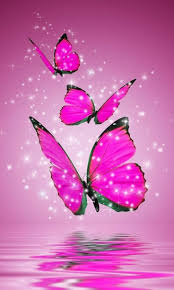 Download Butterfly Phone Wallpapers Top Free Butterfly Phone Backgrounds Wallpaperaccess
