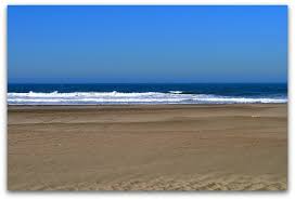 Ocean waves crashing on shore during daytime. Ocean Beach San Francisco Things To See Do Here