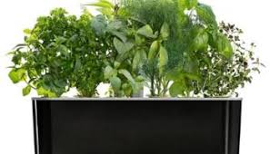 You do not have the time to care for a garden Aerogarden Tomatoes All You Need To Know About Growing Them With Tips