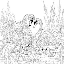 Disenchant the prince turned into a monster. Animal Families Coloring Pages Free Fun Printable Coloring Pages Of Animal Families For Everyone Printables 30seconds Mom