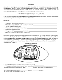 Plant cells contain chloroplasts and mitochondria. Chloroplasts And Mitochondria