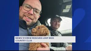 News 12 crew helps reunite lost dog with family