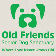 Forever Foster Or Adoption Information Old Friends Senior Dog Sanctuary