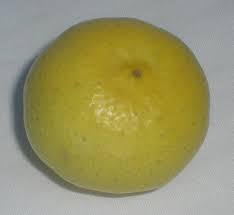 Looking for some delicious key lime flavor to spice up your life? Key Lime Wikipedia