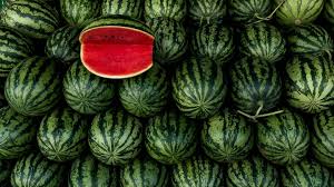 Mumbai: Four Of Family Die Of Suspected Food Poisoning After Eating  Watermelon