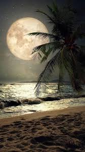 Pin By Delane Pritiraj On Basteln Mit Freunde In 2020 Beautiful Moon Moon Photography Hd Nature Wallpapers